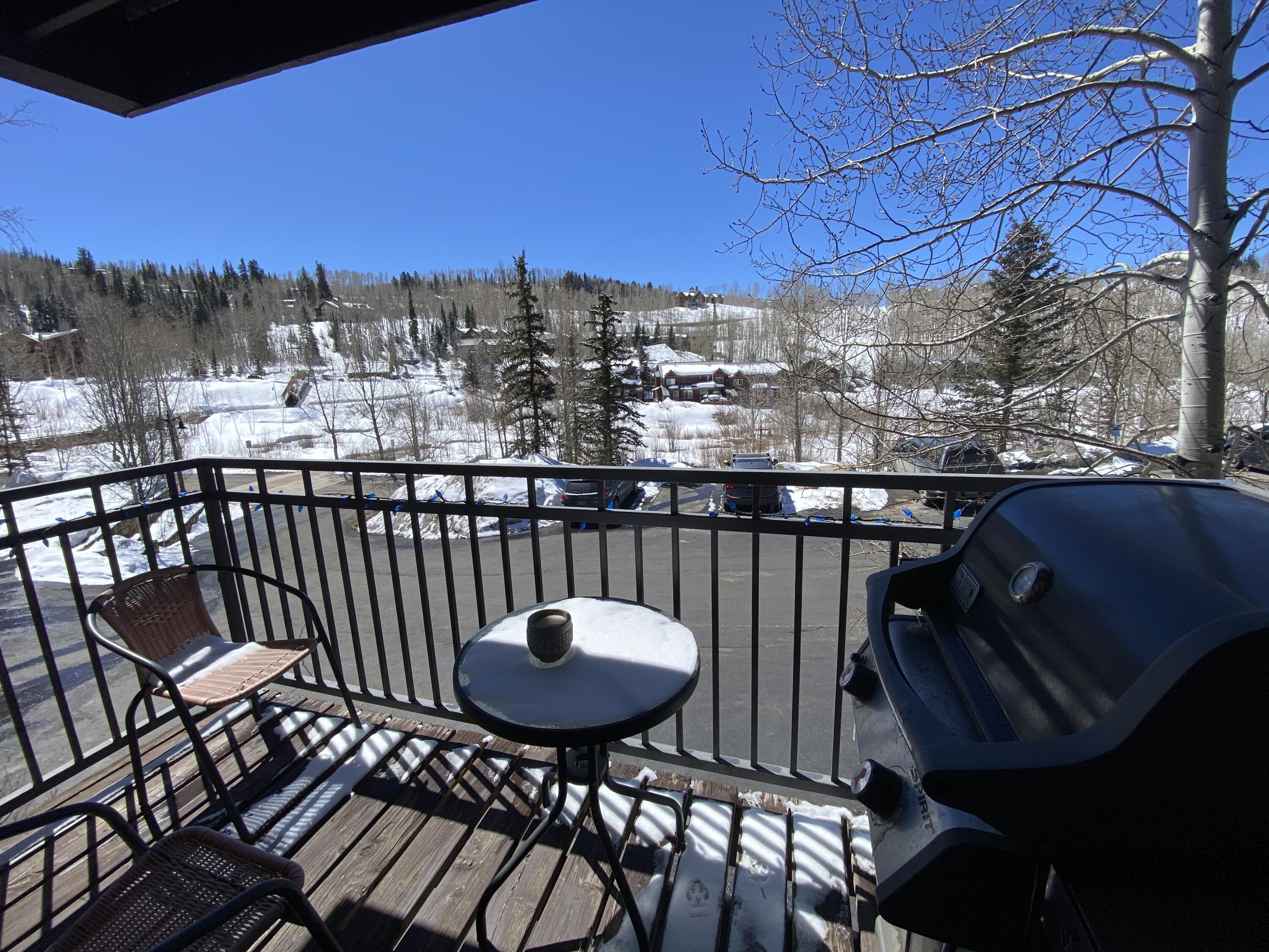 323 Adams Ranch Road, Unit 4A Mountain Village, CO 81435 - Photo 3 of 11 IMG_0733