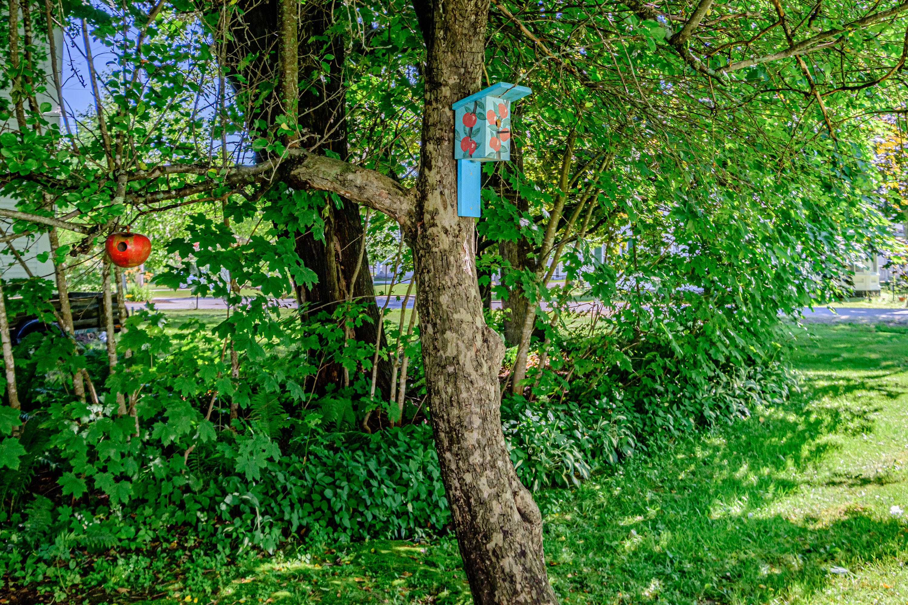 509 Paris Hill Road Paris, ME 04281 - Photo 40 of 44 20250703gp-66019