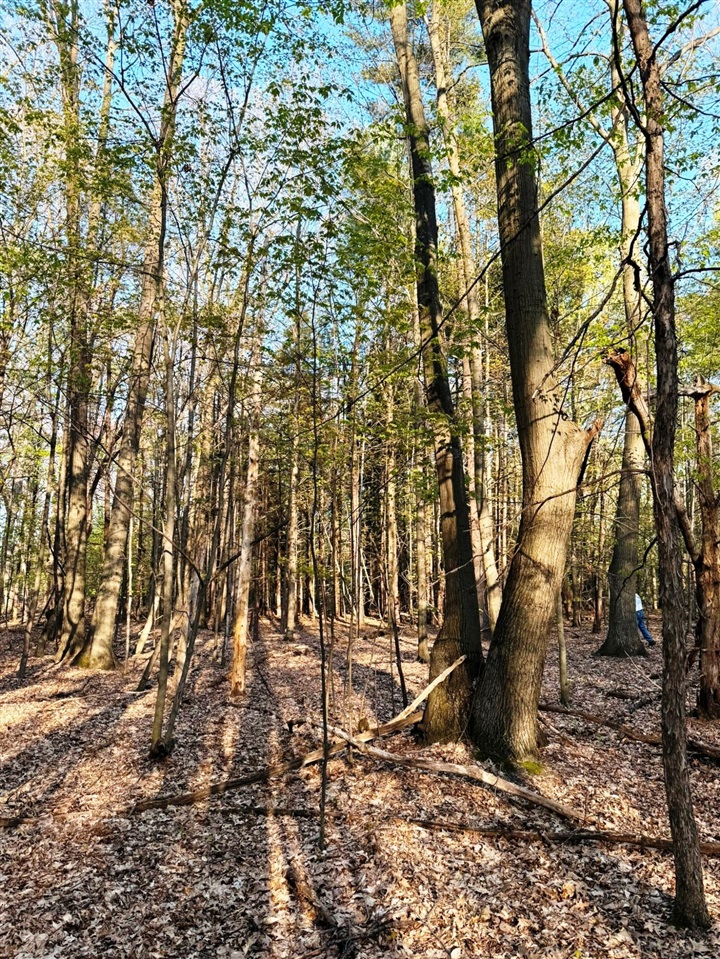 0 West Adams Road Hesperia, MI 49421 - Photo 25 of 74