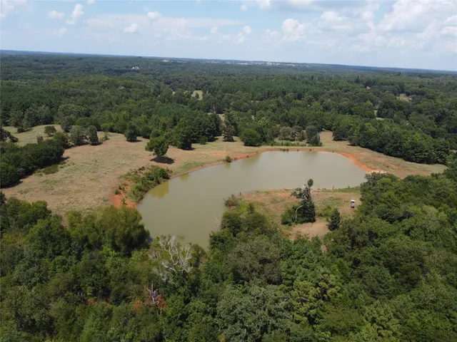 an aerial view of lake and residential houses with outdoor space and trees