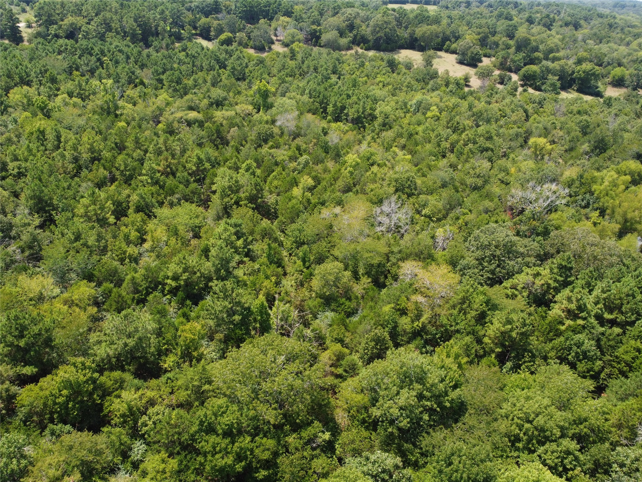 3501 Rd Jacksonville Tx 75766 Road Jacksonville, TX 75766 - Photo 12 of 16 an aerial view of residential house with outdoor space and trees all around