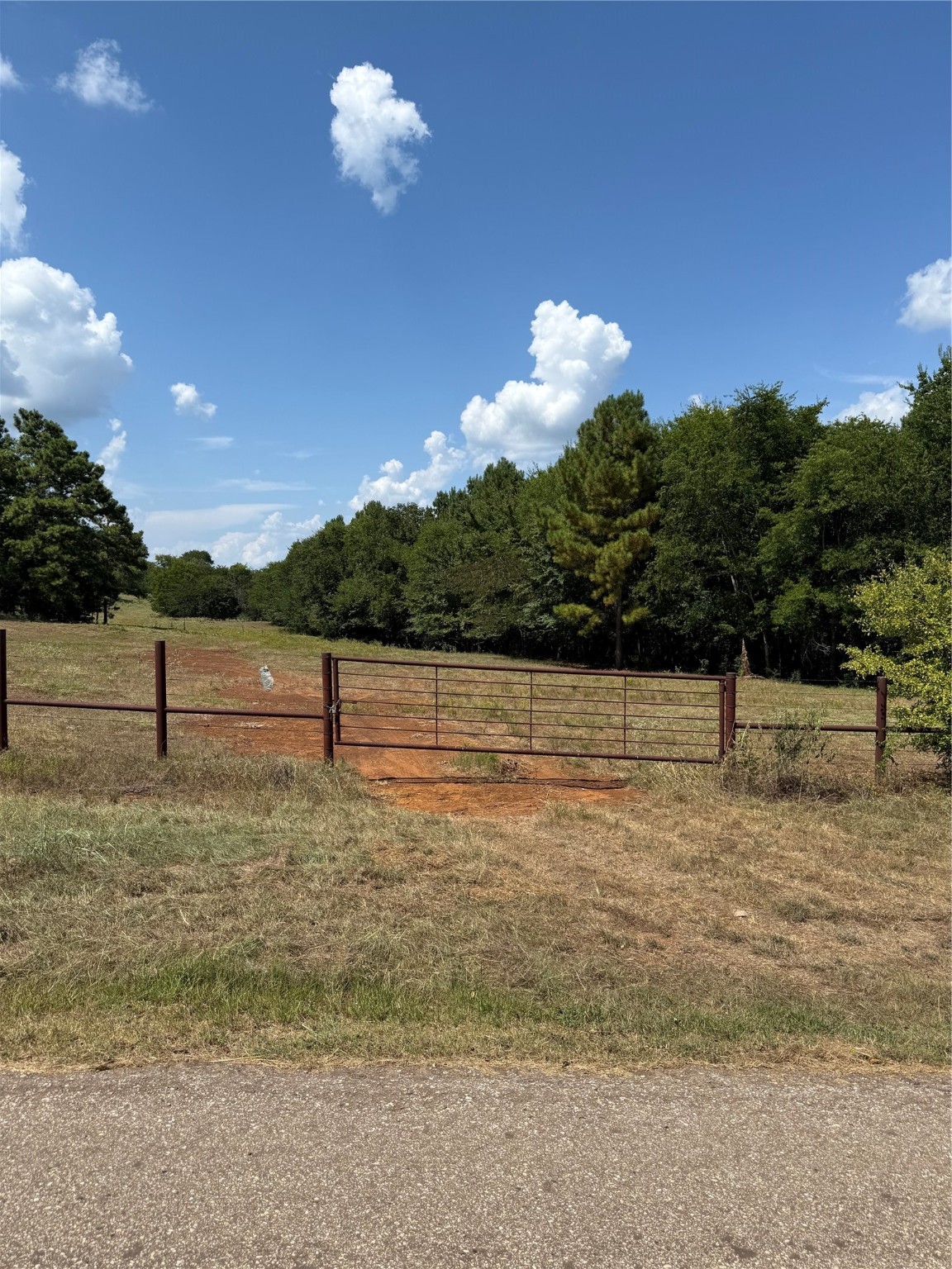 3501 Rd Jacksonville Tx 75766 Road Jacksonville, TX 75766 - Photo 4 of 16 a view of a yard