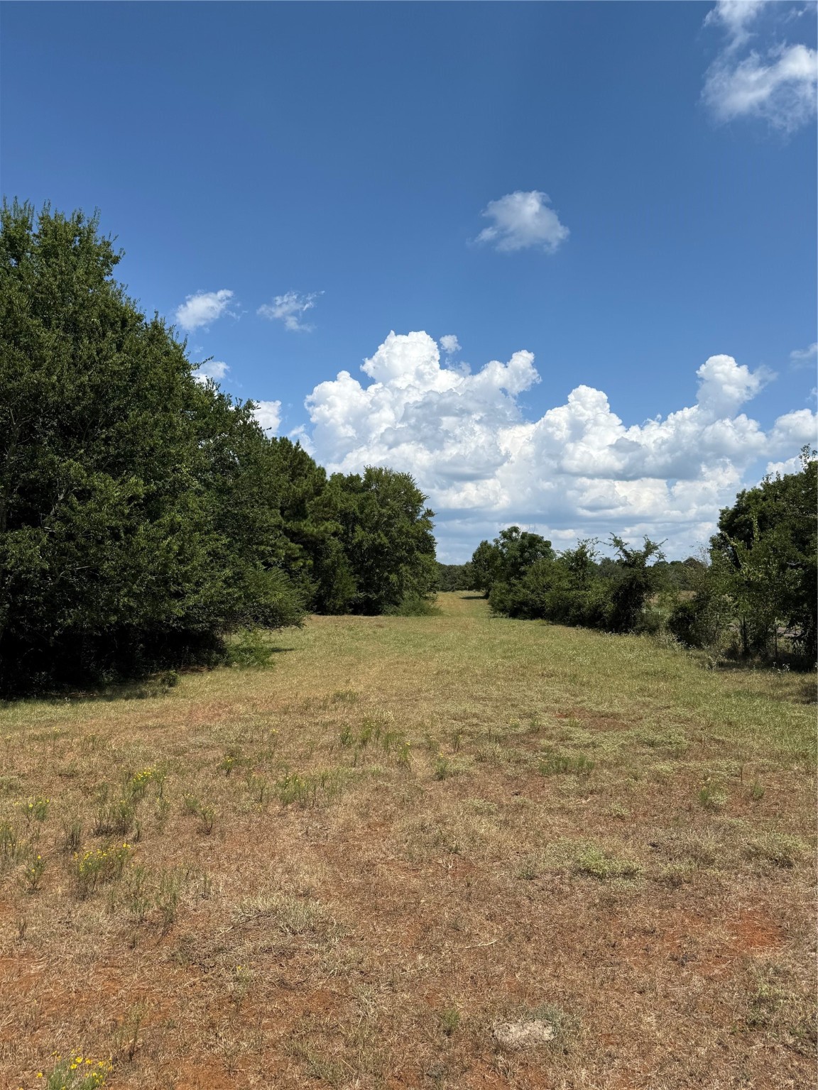 3501 Rd Jacksonville Tx 75766 Road Jacksonville, TX 75766 - Photo 5 of 16 a view of an ocean