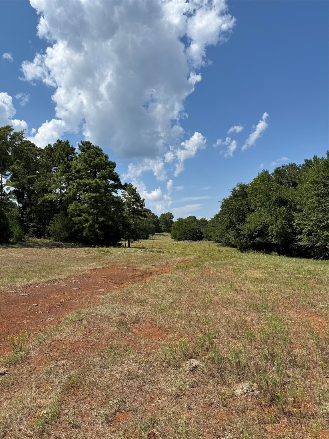3501 Rd Jacksonville Tx 75766 Road Jacksonville, TX 75766 - Photo 9 of 16 a view of lake view and mountain