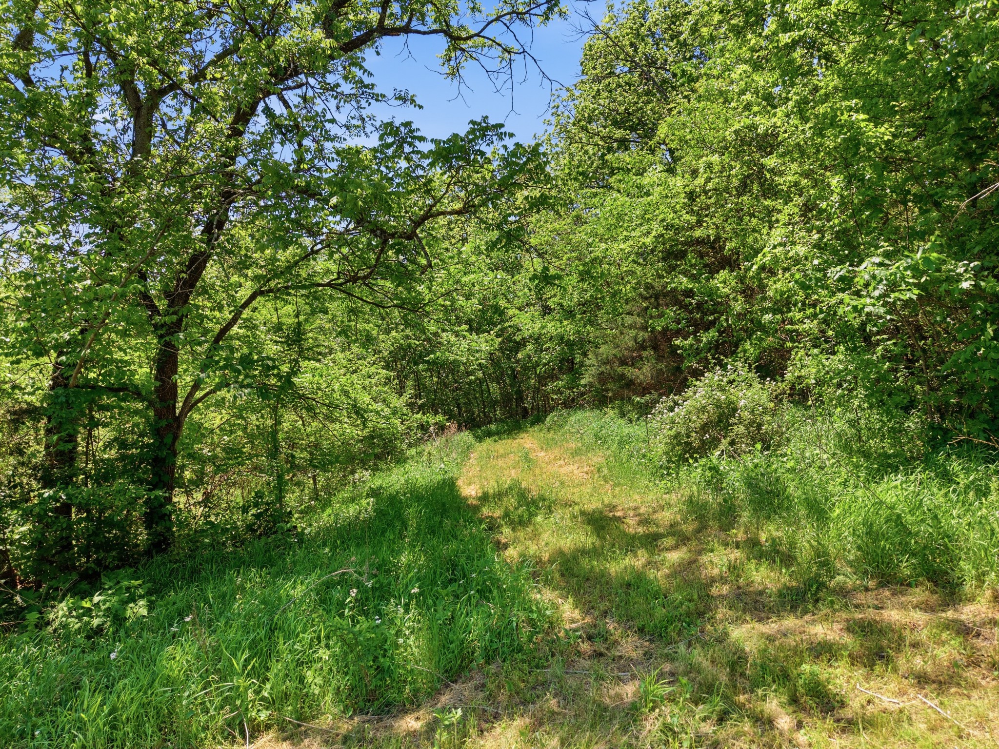 1840 Rock Springs Road Watertown, TN 37184 - Photo 32 of 46