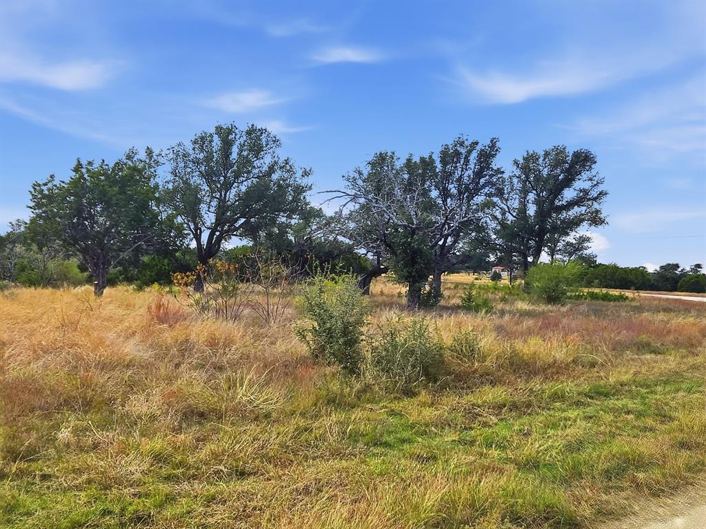 Lot 25-26 Lot Evant, TX 76525 - Photo 2 of 29 a view of lake with green space