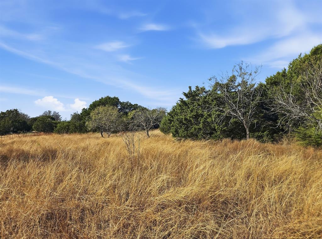 Lot 25-26 Lot Evant, TX 76525 - Photo 7 of 29 a view of lake