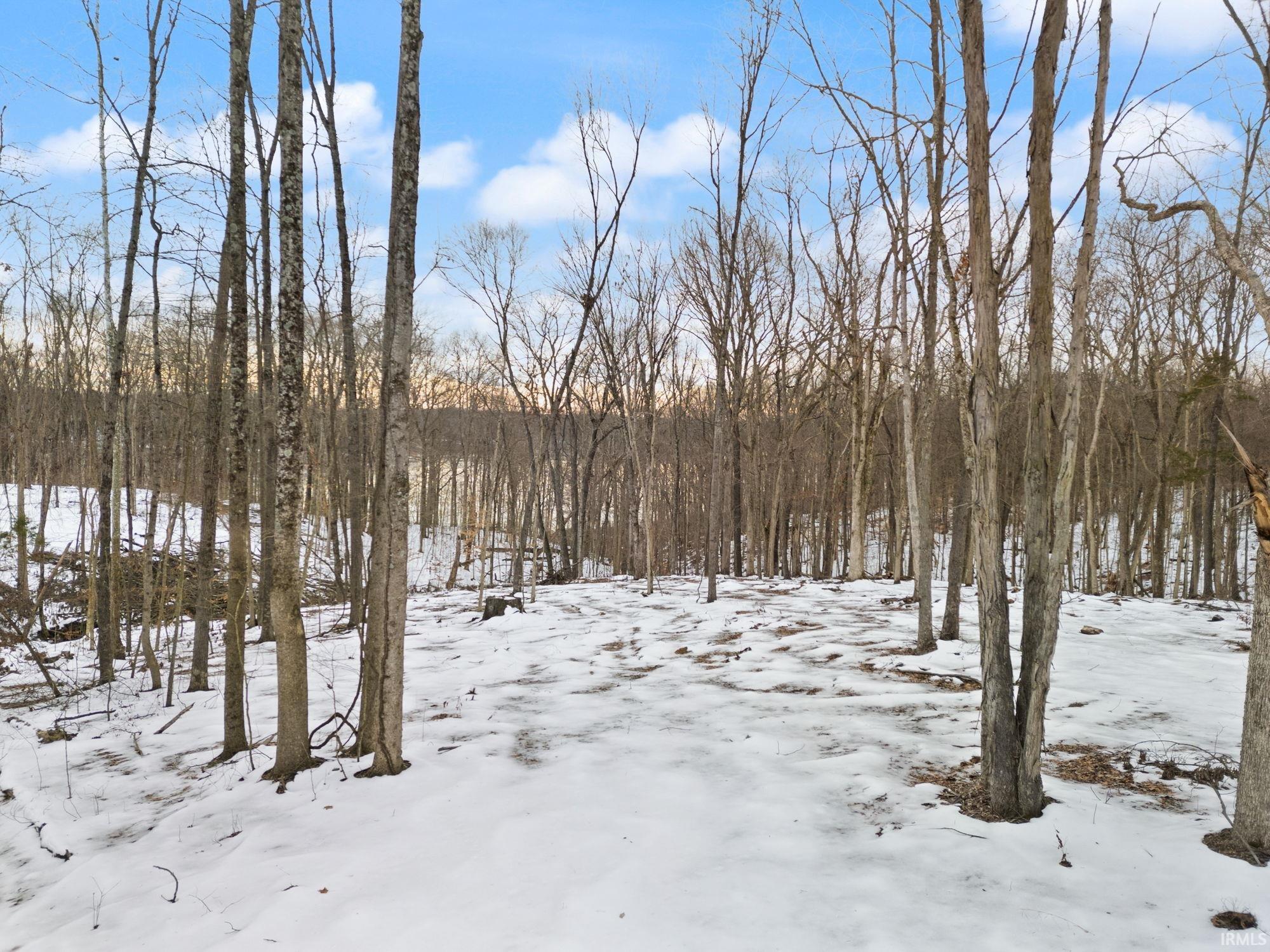 1025 South Co Road, Unit 1 French Lick, IN 47432 - Photo 22 of 26