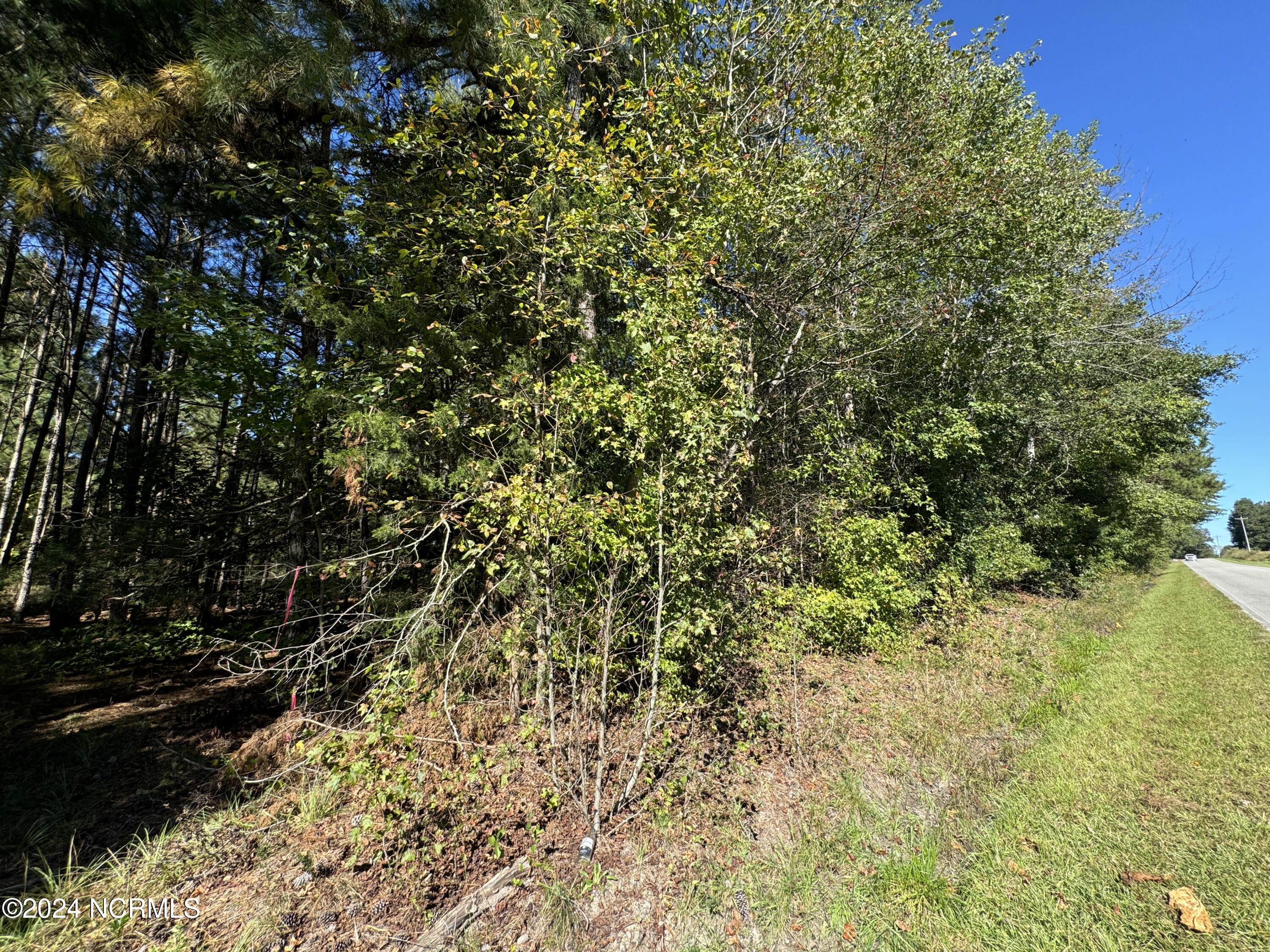 Tbd Dowd Road West End, NC 27376 - Photo 2 of 3 Dowd Rd Tract 2