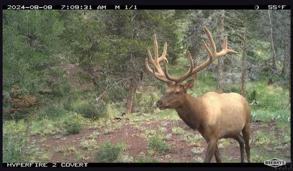 $175,000 | Tbd Tbd Spanish Peaks Drive, Walsenburg, CO 81089