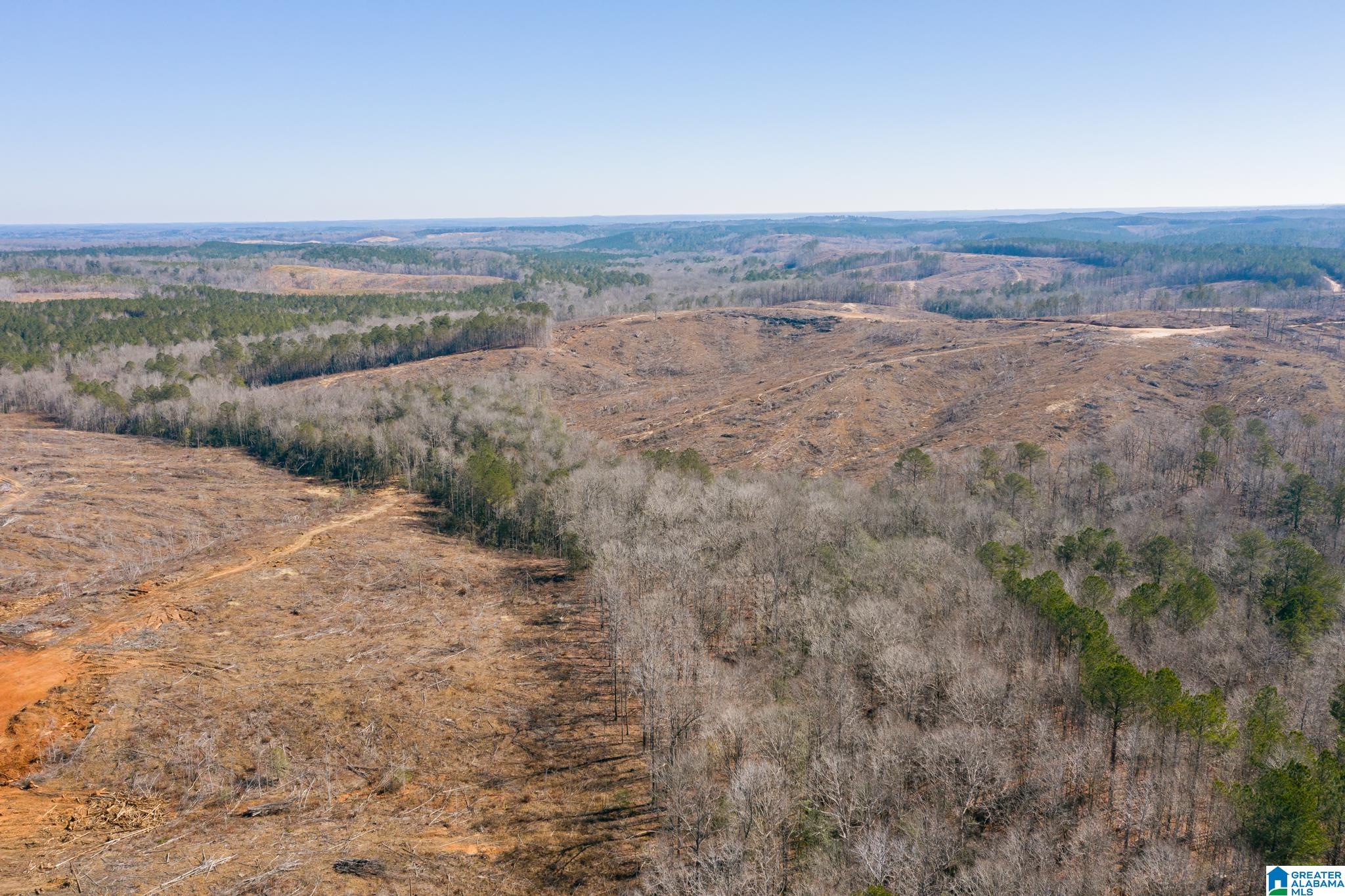 0 Harless Road Northport, AL 35475 - Photo 17 of 34