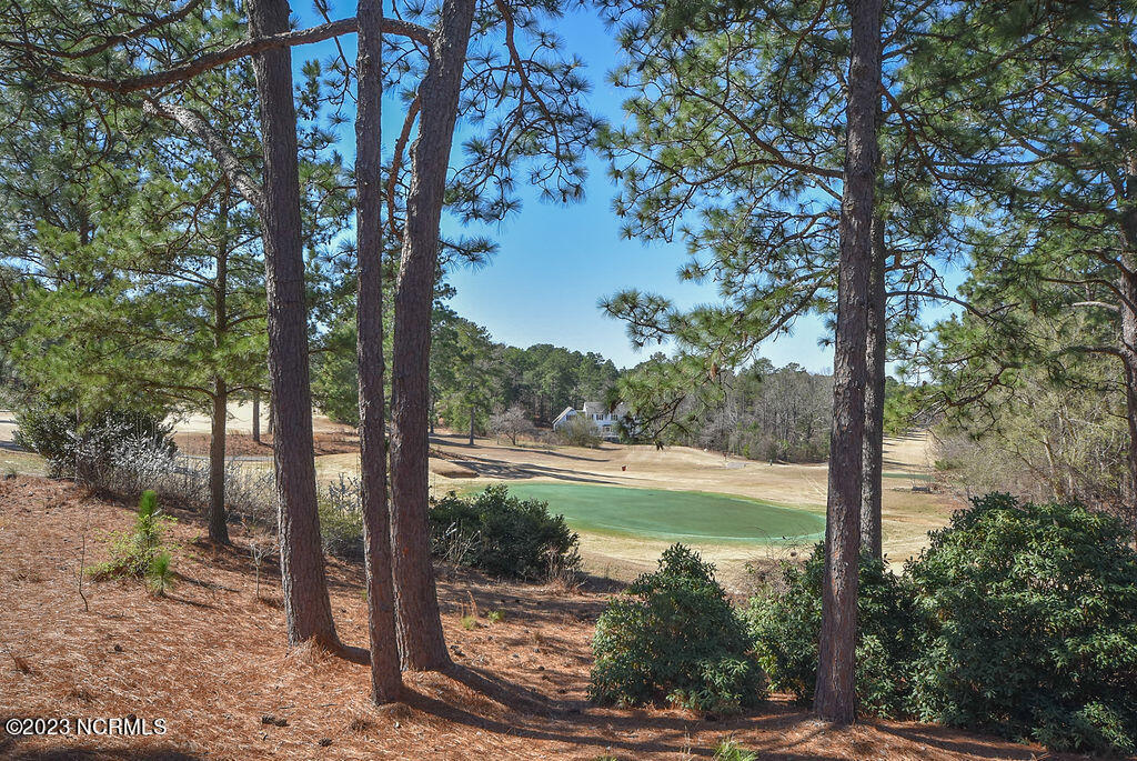 7 Ridge Road Jackson Springs, NC 27281 - Photo 75 of 92 7RidgeRd-103