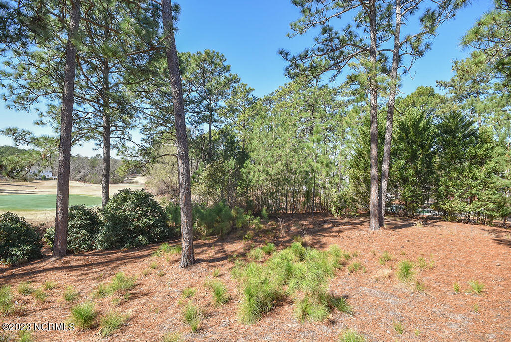 7 Ridge Road Jackson Springs, NC 27281 - Photo 76 of 92 7RidgeRd-104