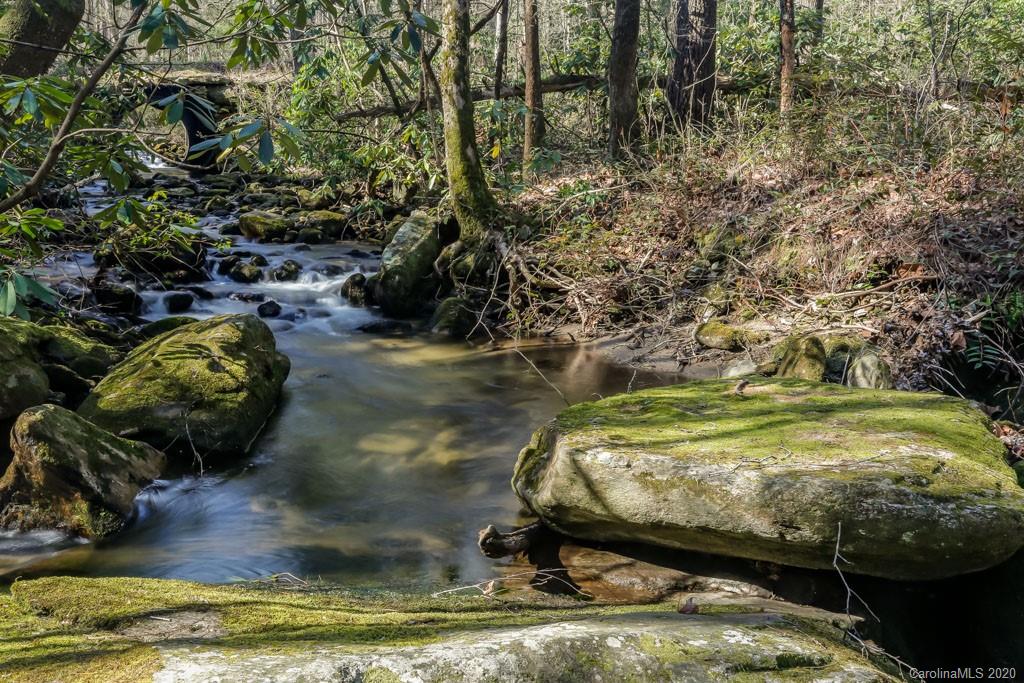 997 Proctor Road Lake Lure, NC 28746 - Photo 33 of 40 a view of a swimming pool with some trees