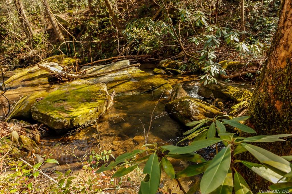 997 Proctor Road Lake Lure, NC 28746 - Photo 35 of 40 a view of a yard
