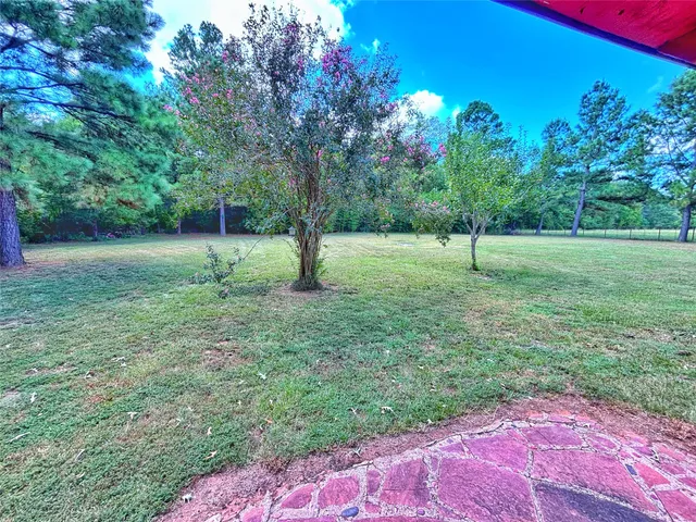 a view of a big yard with plants and large trees