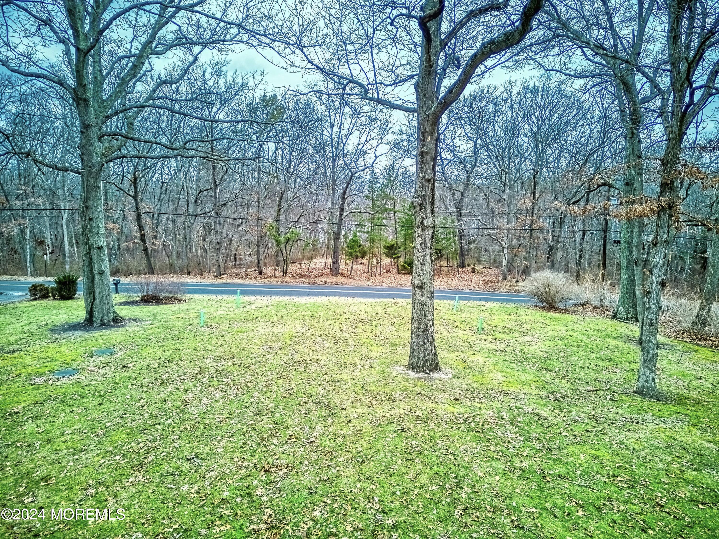 144 Windeler Road Howell, NJ 07731 - Photo 4 of 59 a view of a park with large trees