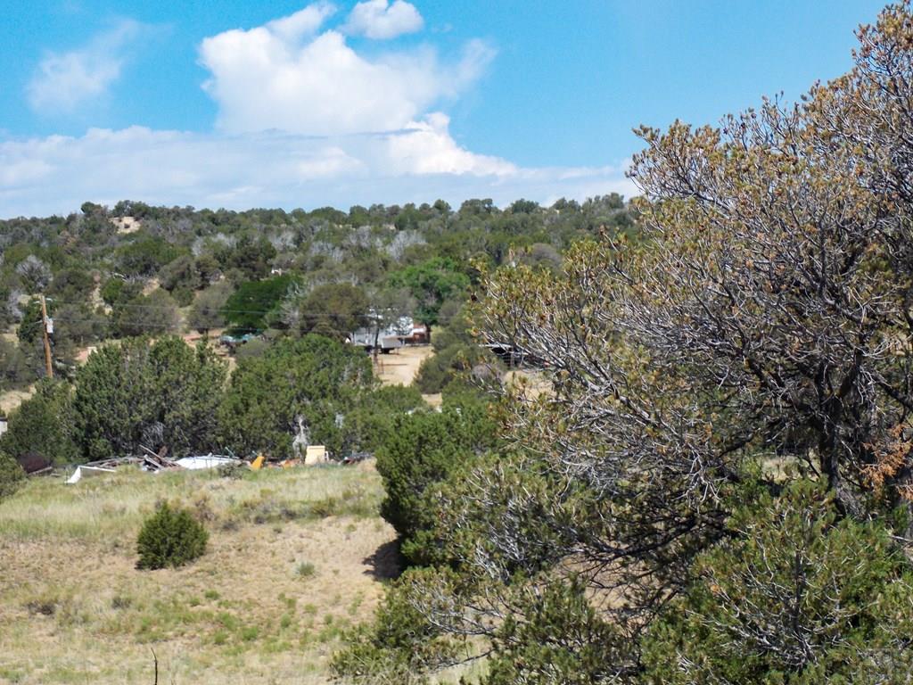 Tbd Tbd Twin Lakes Road Walsenburg, CO 81089 - Photo 7 of 7 Gallery Image 7