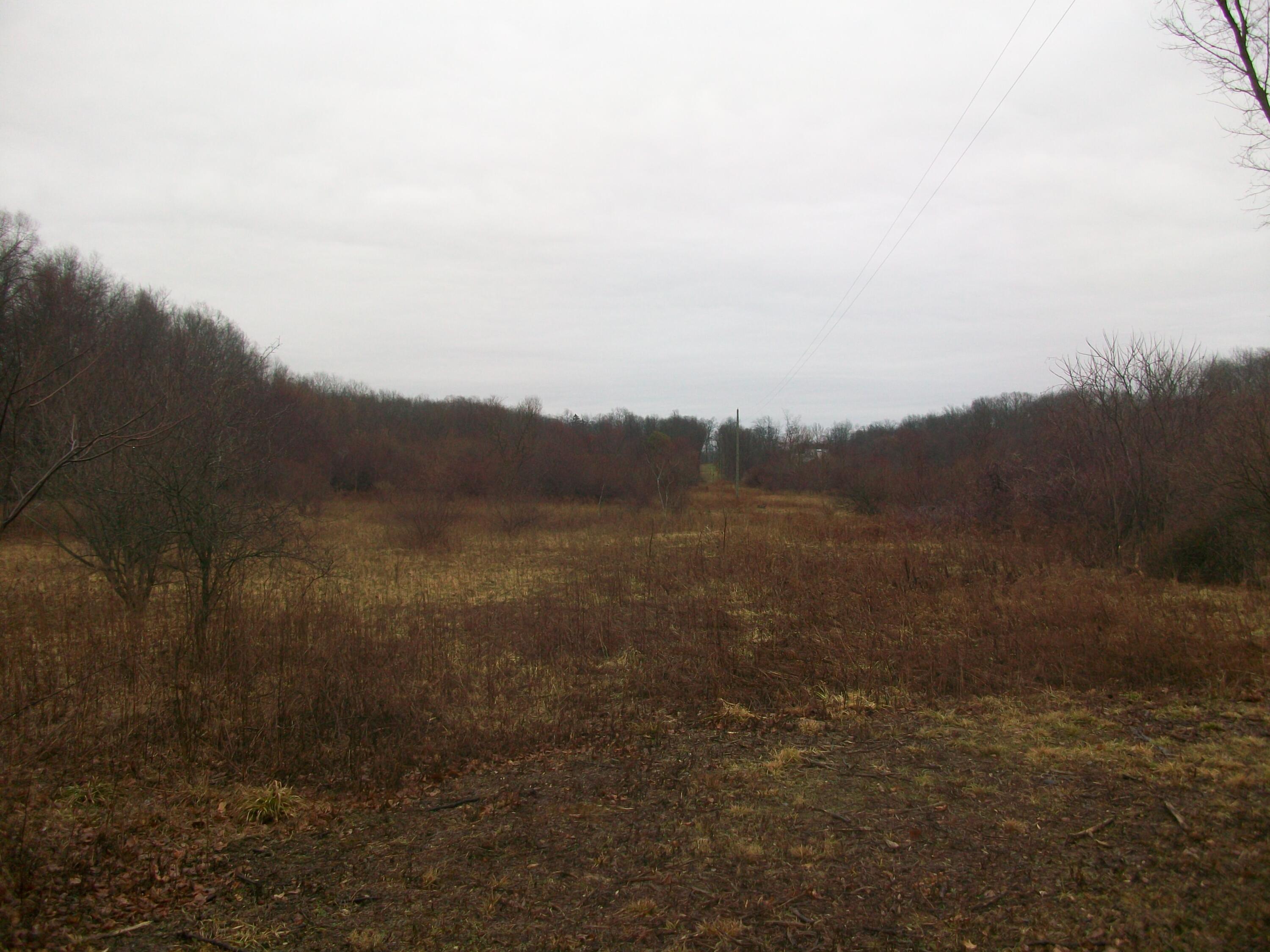 12995 Stuck Road Delton, MI 49046 - Photo 7 of 20 005