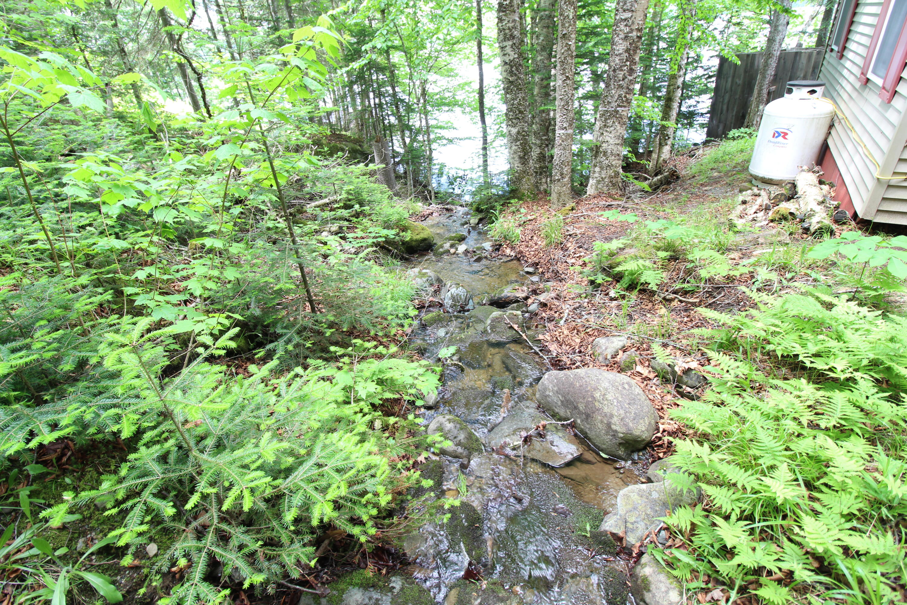 Lot 16.1 Alca Heights Road Oquossoc, ME 04964 - Photo 3 of 48 IMG_5810