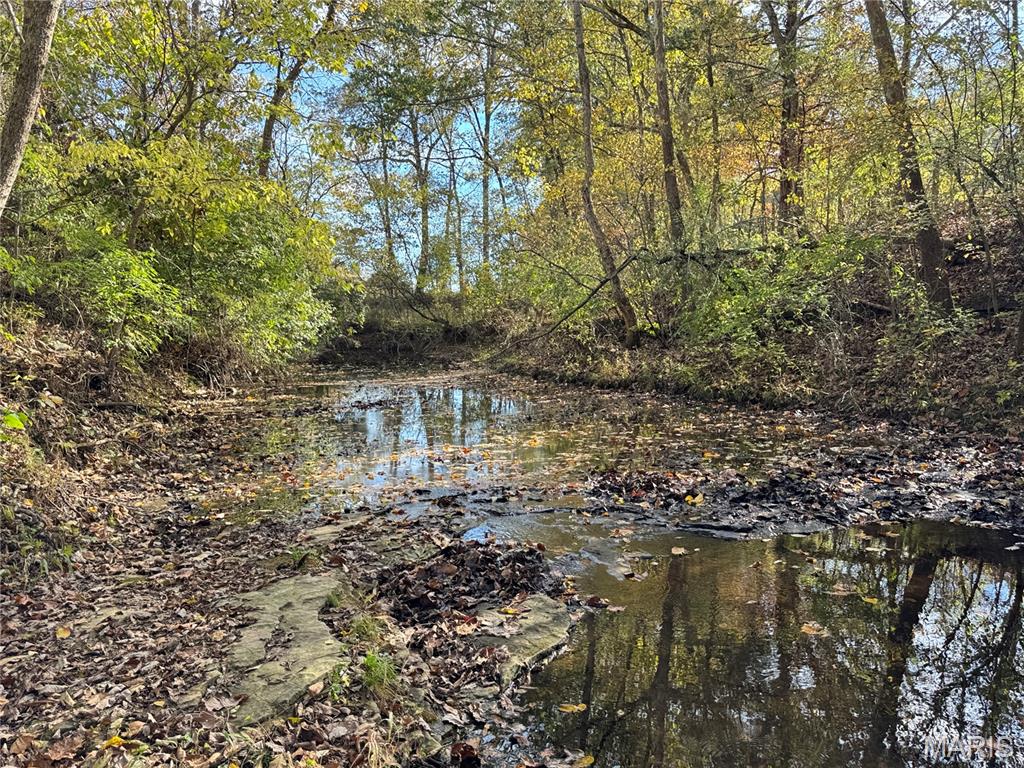 1933 4 Mile Road Washington, MO 63090 - Photo 75 of 84
