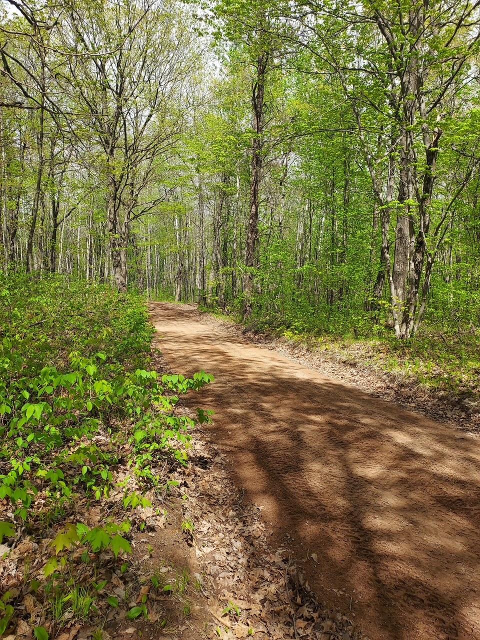 64100 East Ruth Lake Road Iron River, WI 54847 - Photo 14 of 16