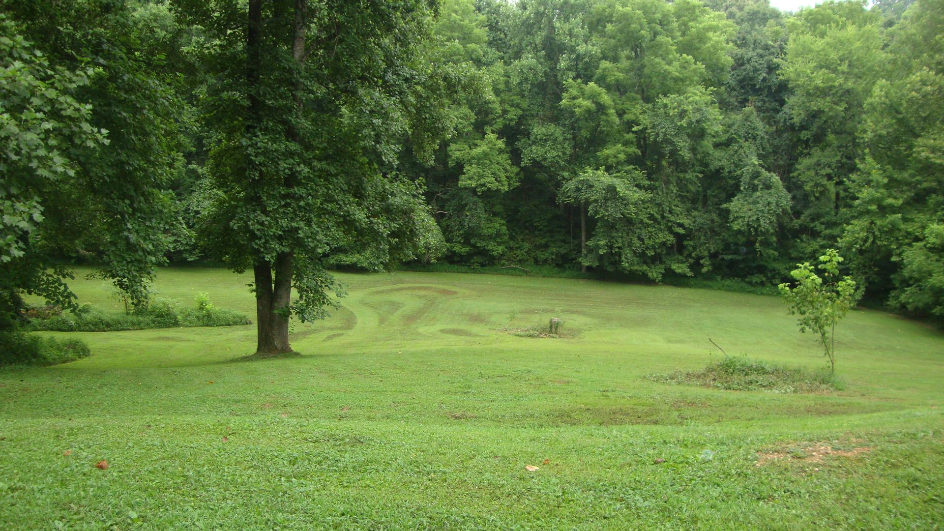 1761 Rock Church Road Dickson, TN 37055 - Photo 4 of 28 Lots of yard space with wet weather branch bordering the back of property.