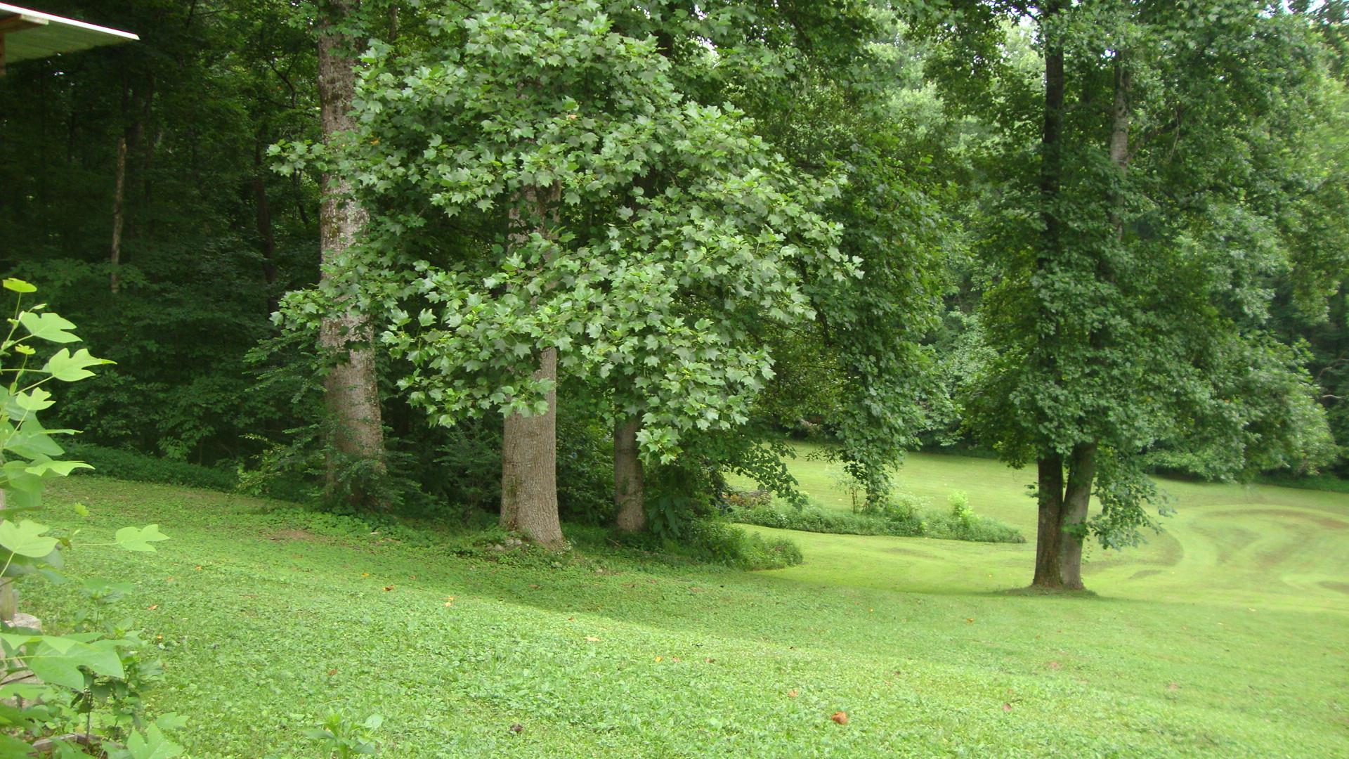1761 Rock Church Road Dickson, TN 37055 - Photo 6 of 28 Gallery Image 6