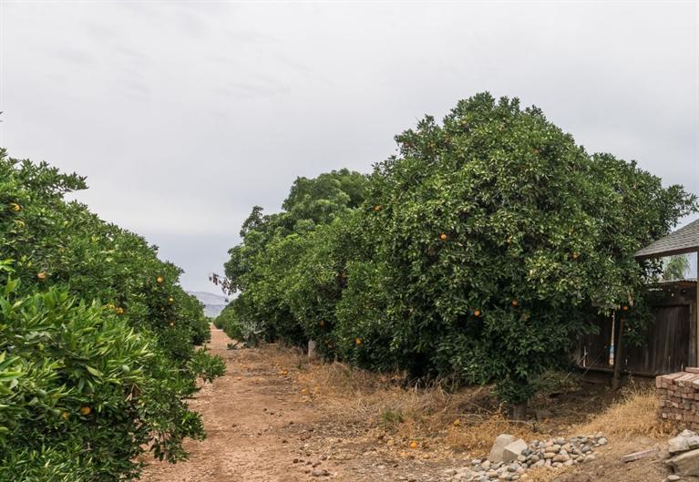 4663 Cove Road Reedley, CA 93654 - Photo 32 of 32 Gallery Image 32