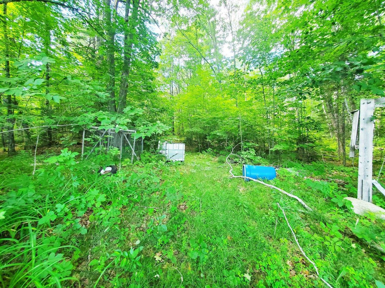 501 Pullen Woods Road Palermo, ME 04354 - Photo 32 of 62 20260717_151647 A