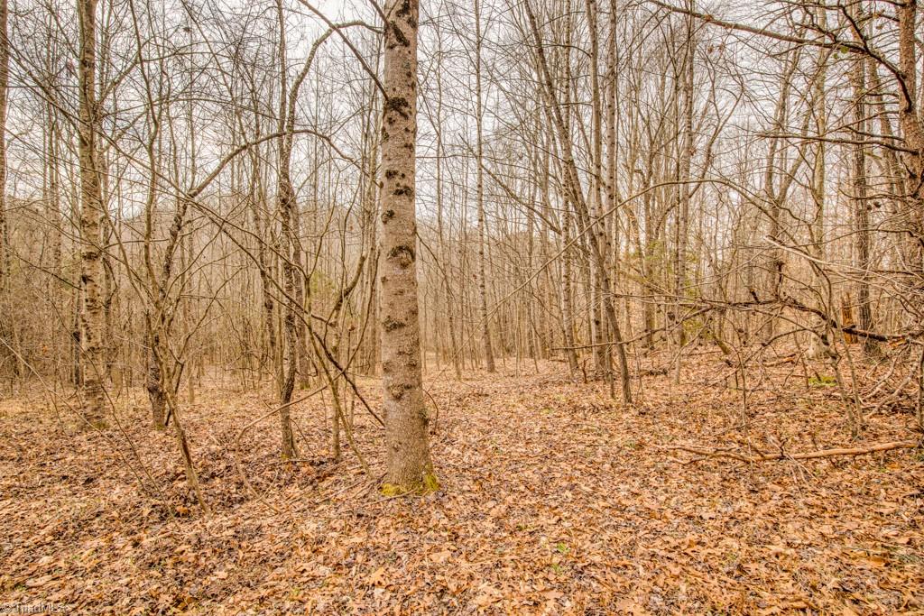 0 Seward Road Pfafftown, NC 27040 - Photo 14 of 26 Gallery Image 14