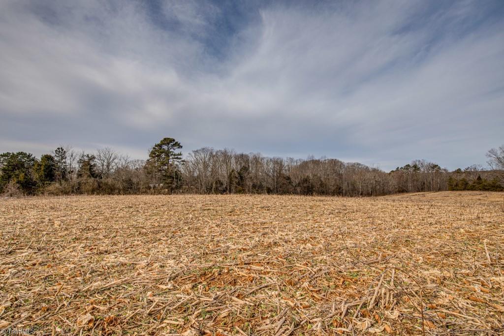 0 Seward Road Pfafftown, NC 27040 - Photo 3 of 26 Gallery Image 3