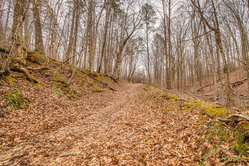 0 Seward Road Pfafftown, NC 27040 - Photo 22 of 26 Gallery Image 22