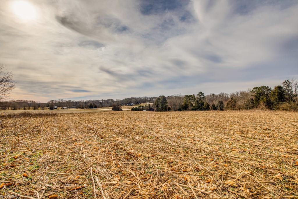 0 Seward Road Pfafftown, NC 27040 - Photo 4 of 26 Gallery Image 4