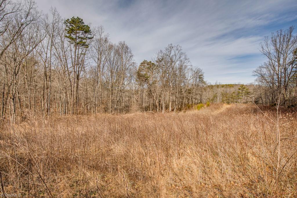 0 Seward Road Pfafftown, NC 27040 - Photo 5 of 26 Gallery Image 5