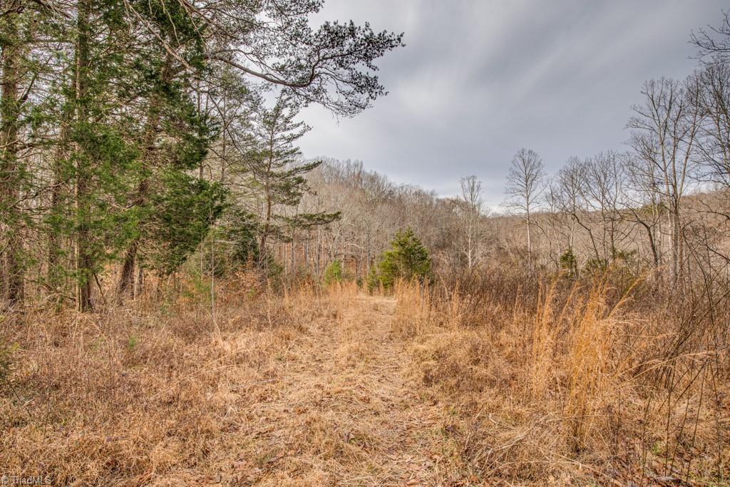 0 Seward Road Pfafftown, NC 27040 - Photo 6 of 26 Gallery Image 6
