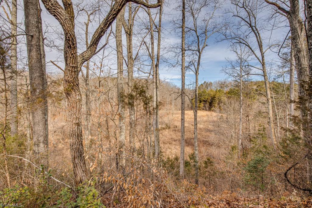 0 Seward Road Pfafftown, NC 27040 - Photo 8 of 26 Gallery Image 8