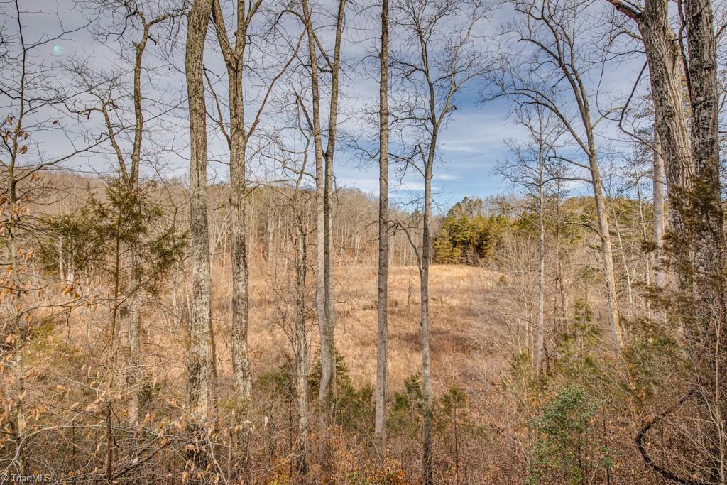 0 Seward Road Pfafftown, NC 27040 - Photo 9 of 26 Gallery Image 9