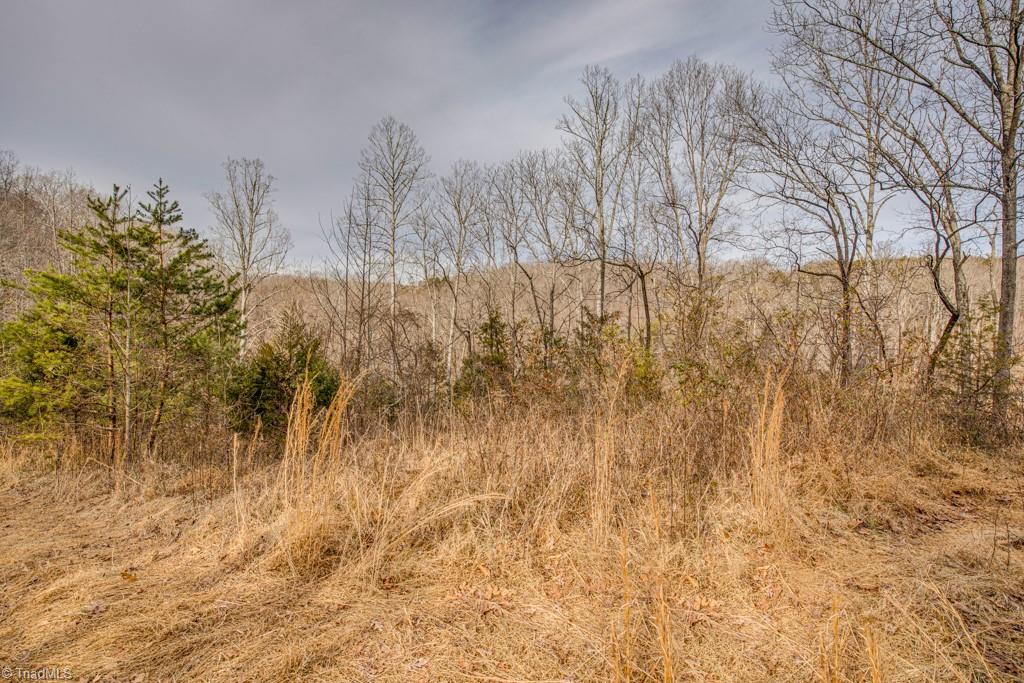 0 Seward Road Pfafftown, NC 27040 - Photo 10 of 26 Gallery Image 10