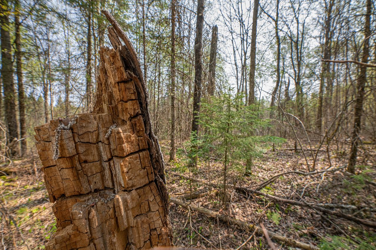 On Frontier Road Presque Isle, WI 54557 - Photo 19 of 42 Gallery Image 19
