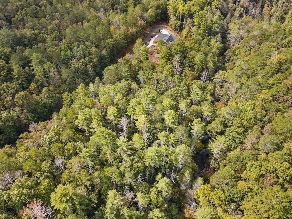 0 Trout Line Court Talking Rock, GA 30175 - Photo 18 of 50 a view of a yard