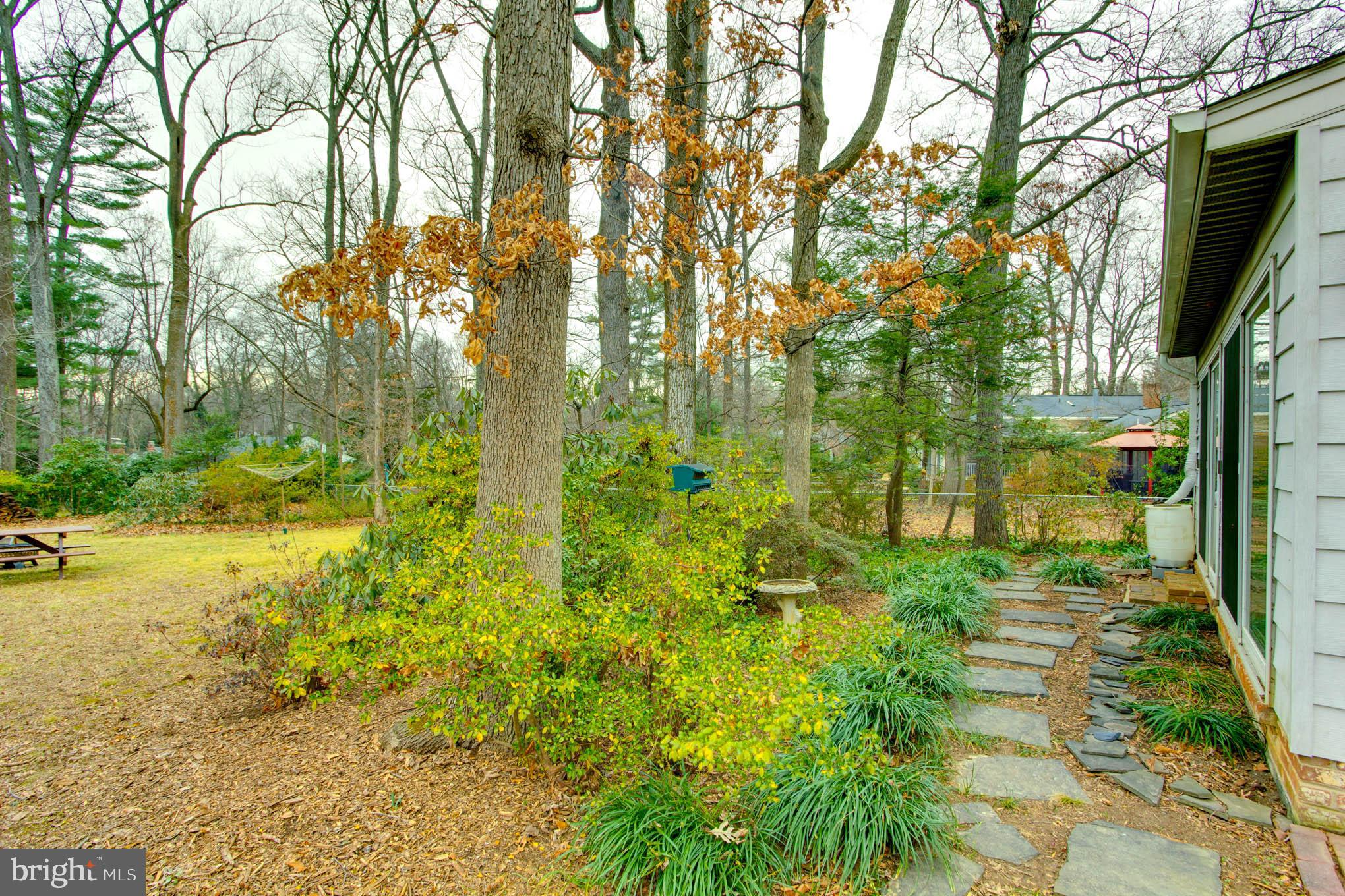 7309 Pinecastle Road Falls Church, VA 22043 - Photo 46 of 57 Lovely landscaping area off kitchen/sunroom.
