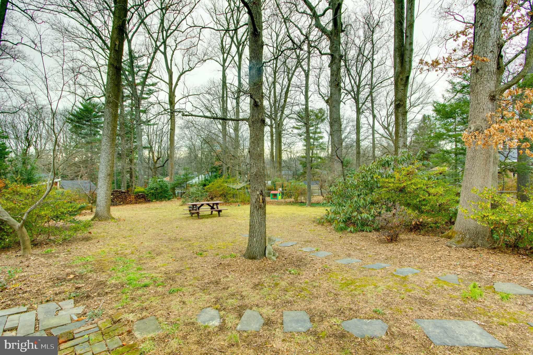 7309 Pinecastle Road Falls Church, VA 22043 - Photo 47 of 57 Isn't this the perfect parklike setting?