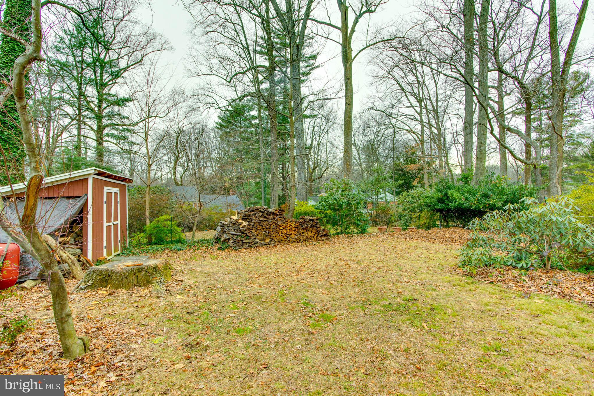 7309 Pinecastle Road Falls Church, VA 22043 - Photo 53 of 57 At far back is storage shed and plenty of firewood