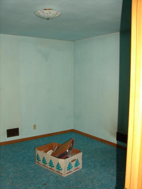 9113 Reynolds Road Bellevue, MI 49021 - Photo 9 of 9 Additional Photo