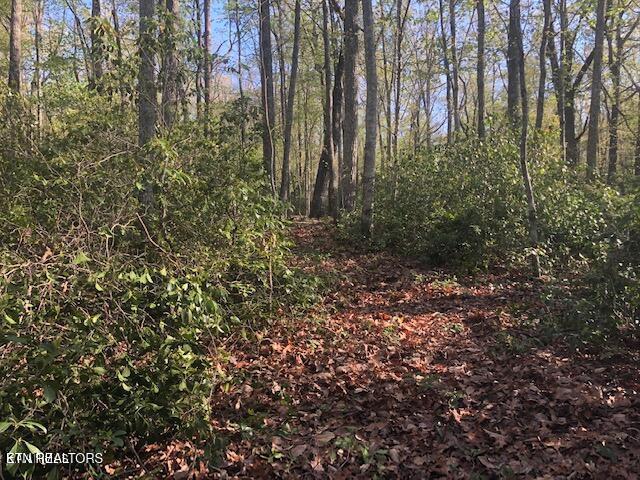 Cliff Park Road Monterey, TN 38574 - Photo 11 of 22 Inside View3