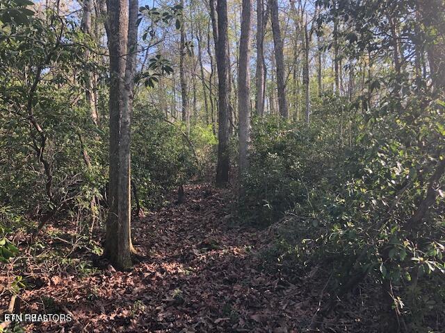 Cliff Park Road Monterey, TN 38574 - Photo 12 of 22 Inside View5