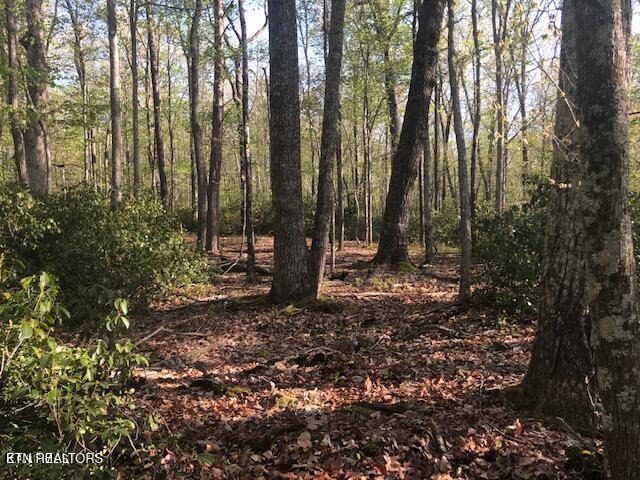 Cliff Park Road Monterey, TN 38574 - Photo 13 of 22 Nice building site