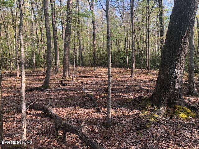 Cliff Park Road Monterey, TN 38574 - Photo 14 of 22 Nice building site2