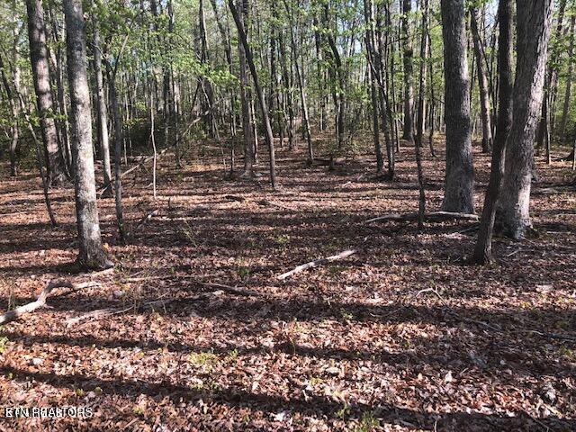 Cliff Park Road Monterey, TN 38574 - Photo 15 of 22 Nice building site3